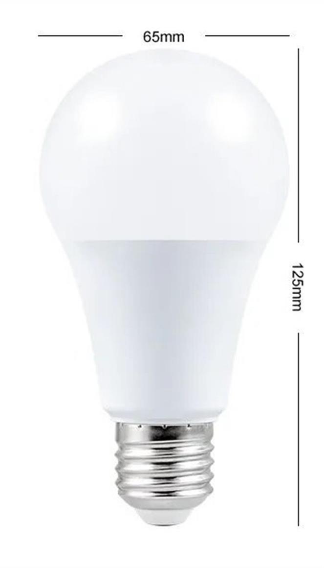 light bulb (1)